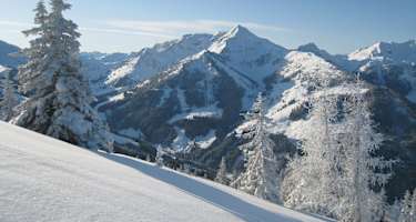 Blick in Richtung Galtenberg