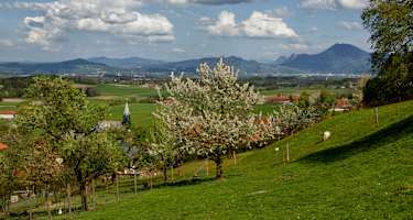 Blick vom Högl ins Salzburger Land