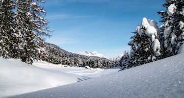 Blick auf die B1 Loipe