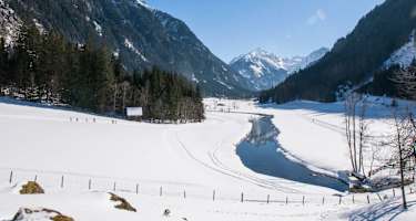 Langläufer auf der Kristallloipe im Tettermoor