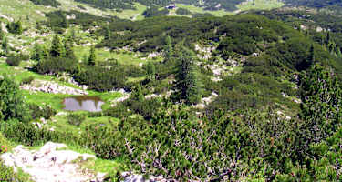 Blick über die weitläufige Reiter Alm