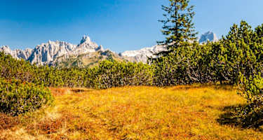 Blick zur Bischofsmütze