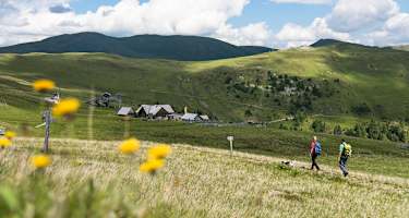 Saftige Almwiesen nahe der Blutigen Alm