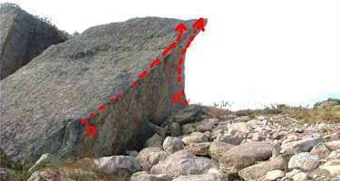 Baby Nase 5a im Sektor Sektensektor am Block 5