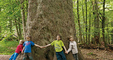 Vier Kinder sind zu wenig! Bei der »dicken Tanne«.