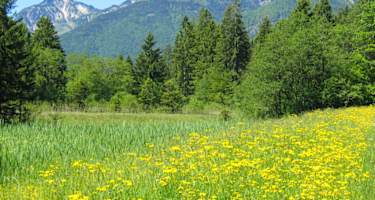 BreitensteinGeigelsteinWiese