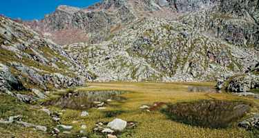 Malerischer Sumpfboden bei der Magdeburger Hütte.