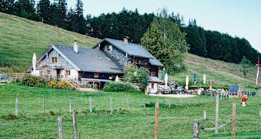 Die Buchberghütte auf der Eisenaualm liegt auf einer Seehöhe von 1.015 m.