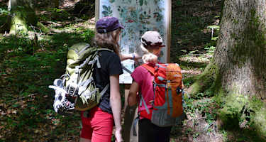 Buchenegger Wasserfälle