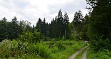 Burgherrenrunde Burg Landskron