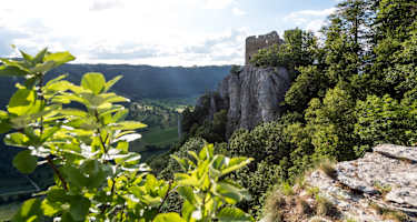 Burgruine Reußenstein