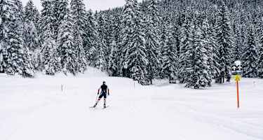 C3 Neuleutasch - Skating in Wildmoos