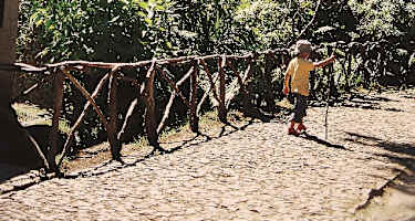 Queimadas Caldeirao Verde