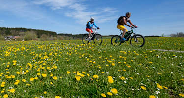 Chiemsee-Waginger See-Radweg