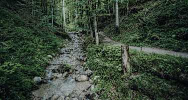 Wanderung durch die Rehbacklamm