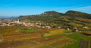 Collio
