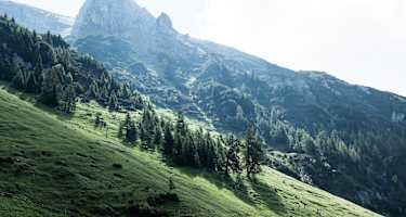 Wanderung zur Dalfaz Alm von der Bergstation der Rofanseilbahn