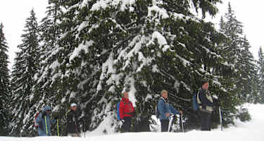 Panoramawinterwanderung in Hinterreith