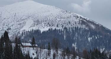 Loebner von Südosten
