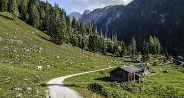 Auf halber Strecke erreicht man die Gotzenalm