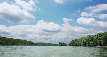 Die frei fließende Donau