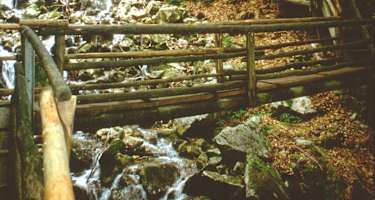 In der romantischen Dr. Vogelgesangklamm steigt man auf Holztreppen höher.