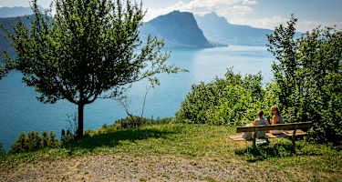 Sicht auf den Bürgenstock und Vierwaldstättersee während der Wanderung entlang des Waldstätterweg, Etappe 2 Vitznau-Küssnacht