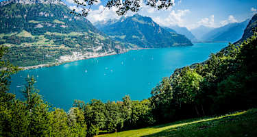 Sicht auf Urnersee und Fronalpstock während der Wanderung entlang des Waldstätterweg, Etappe 7 Beckenried-Rütli