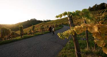 Durchbach, Badische Weinstraße