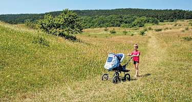 Kinderwagenwanderung um Wien
