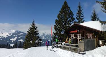 Am Höhenrücken der Höhi Wispile