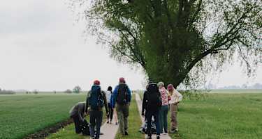 Wanderer auf einem Wanderweg in Rügen, weite Felder und ein Baum