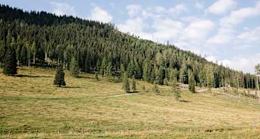 Viel Gelände rund um die Egger Alm