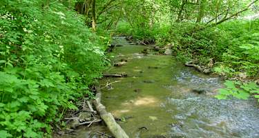 Hegauer Kegelspiel: Krebsbachputzer