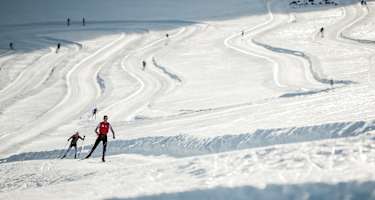Die längste Gletscherloipe der Welt befindet sich am Dachstein.