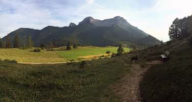Oben angekommen – die Eisenauer Alm