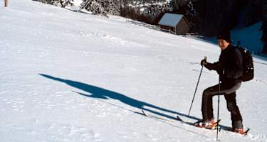Aufstieg über die Gipfelwiese, im Hintergrund die Reisalpe