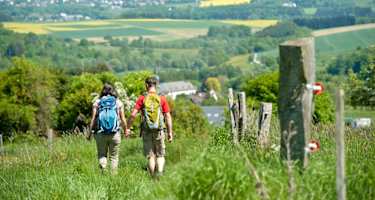 Die Rundwanderung Elberthöhen garantiert tolle Ausblicke