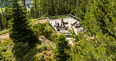 Genießerpfad Heidelbeerweg Enzklösterle