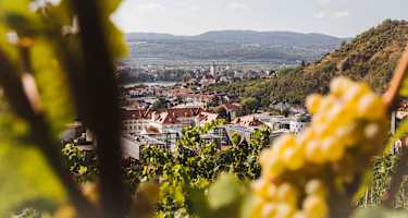 Blick auf Krems-Stein - Welterbesteig Wachau