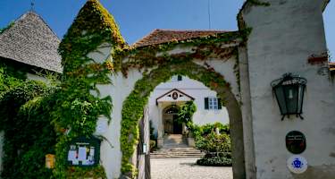 Weingut und Schloss Winkler-Hermaden in Kapfenstein