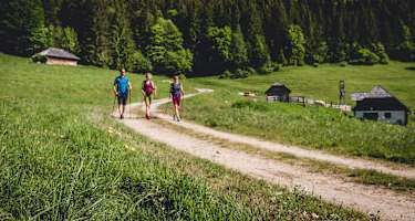 Wald- und Almwege zeichnen die 9. Etappe der BergZeitReise in der Hochsteiermark aus.