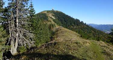 Weg auf die Gemeindealpe 