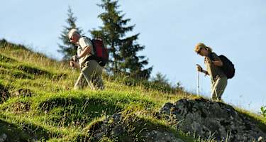 Aufstieg zur Schönfeldhütte - Vom Spitzingsattel geht es über gemütliche Pfade hinauf