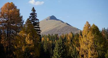 Blick auf den Preber