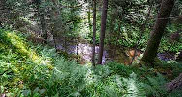 Blick auf die Rötenbachschlucht