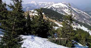 Blick vom Aufstieg nach Westen, rechts der Kleiner Ötscher, links hinten der Dürrenstein