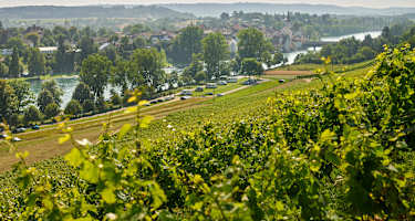 Hegauer Kegelspiel: Grenzgänger