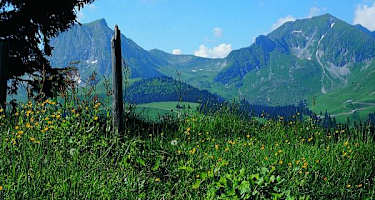Blick zum Morgetepass, dem Übergang ins Simmental