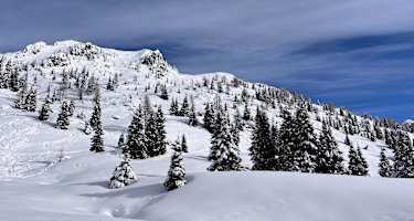 Blick auf den Garnitzenberg am Nassfeld